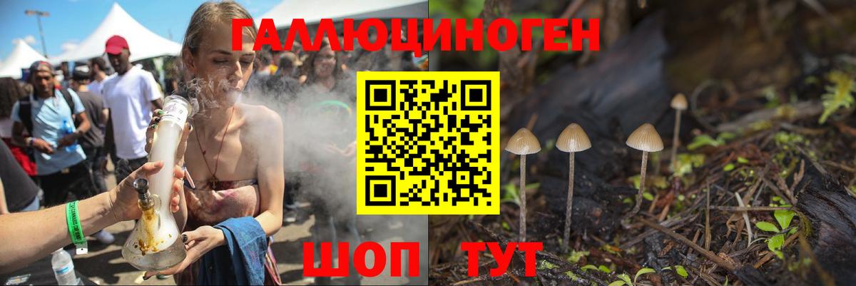 Галлюциногенные грибы MAGIC MUSHROOMS  Вход с VPN  Галлюциногенные грибы GOLDEN TEACHER  Якутск 